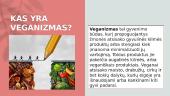 Veganizmo pliusai ir minusai 3 puslapis