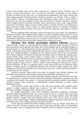 Balta drobulė (išsamus konspektas) 11 puslapis