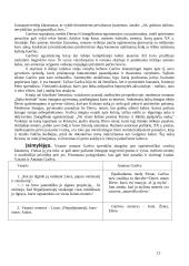 Balta drobulė (išsamus konspektas) 12 puslapis