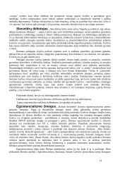 Balta drobulė (išsamus konspektas) 14 puslapis