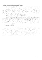 Balta drobulė (išsamus konspektas) 15 puslapis