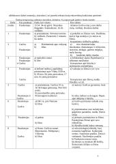 Balta drobulė (išsamus konspektas) 5 puslapis