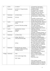 Balta drobulė (išsamus konspektas) 6 puslapis