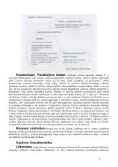 Balta drobulė (išsamus konspektas) 8 puslapis