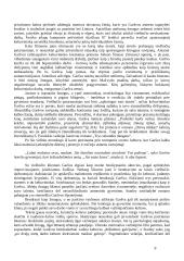 Balta drobulė (išsamus konspektas) 9 puslapis