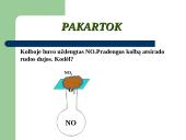 Azoto Oksidai  8 puslapis