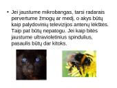 Elektromagnetinių bangų skalė  (Elektrinio ir magnetinio laukų sklidimas erdvėje) 12 puslapis