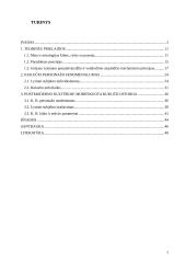 Laikas ir erdvė Marcelijaus Martinaičio poezijos rinkiniuose „Kukučio Baladės“  ir „K. B. Įtariamas“  2 puslapis
