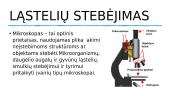 Ląstelė biologinių ir fizikinių požiūriu 4 puslapis