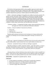 Technologijų egzamino aprašas