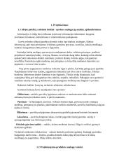 Technologijų egzamino aprašas 2 puslapis