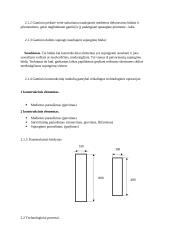 Technologijų egzamino aprašas 4 puslapis