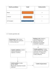 Technologijų egzamino aprašas 5 puslapis