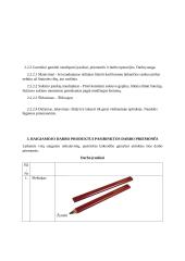 Technologijų egzamino aprašas 6 puslapis