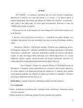 Aš vaizdo ypatybių įvertinimas, taikant dvidešimties pasisakymų testą 3 puslapis