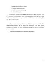 Aš vaizdo ypatybių įvertinimas, taikant dvidešimties pasisakymų testą 4 puslapis