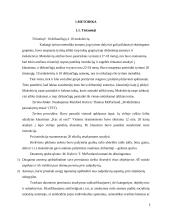 Aš vaizdo ypatybių įvertinimas, taikant dvidešimties pasisakymų testą 5 puslapis