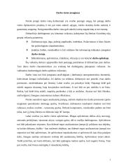 Darbo vietos įrengimas (2)