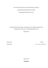 Traumų prevencijos būdai. Darbų saugos svarba ir darbdavio ir darbuotojo atžvilgiu. Teisinė dokumentacija