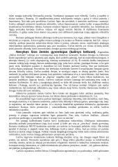 Kūrinio "Balta drobulė" išsamus kontekstas ir analizė 11 puslapis