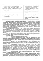 Kūrinio "Balta drobulė" išsamus kontekstas ir analizė 13 puslapis