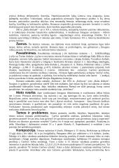 Kūrinio "Balta drobulė" išsamus kontekstas ir analizė 4 puslapis