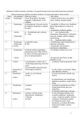 Kūrinio "Balta drobulė" išsamus kontekstas ir analizė 5 puslapis