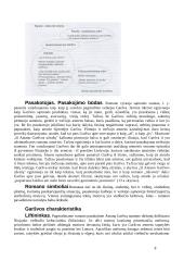 Kūrinio "Balta drobulė" išsamus kontekstas ir analizė 8 puslapis