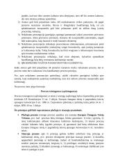 BPT principai 3 puslapis