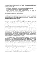 BPT principai 5 puslapis