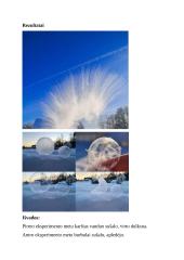 PRAKTIKOS DARBAS  „ ŠALČIO IŠDAIGOS “ 2 puslapis