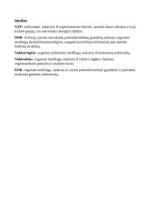 Nukleorūgštys 4 puslapis