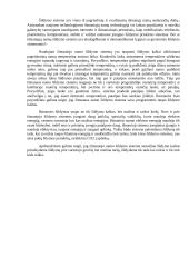 Išmaniųjų namų šildymo sistema.  2 puslapis