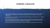 J.Basanavičiaus analizė 7 puslapis