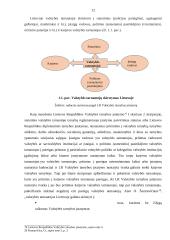 Valstybės tarnautojų priėmimas į valstybės tarnybą 12 puslapis