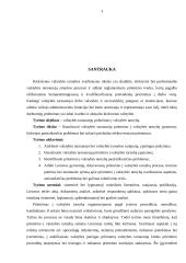 Valstybės tarnautojų priėmimas į valstybės tarnybą 3 puslapis