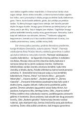 Kodėl žmonės švenčia šventes? 2 puslapis