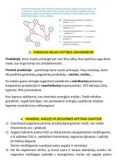Ekosistema, apytaka gamtoje, bendrijų kaita 3 puslapis