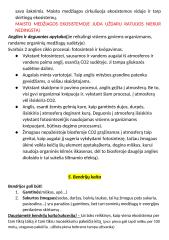 Ekosistema, apytaka gamtoje, bendrijų kaita 4 puslapis