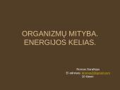 Organizmų mityba. Energija