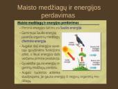 Organizmų mityba. Energija 11 puslapis