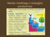 Organizmų mityba. Energija 12 puslapis