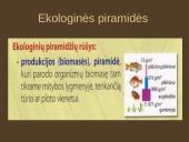 Organizmų mityba. Energija 14 puslapis