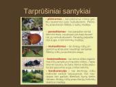 Organizmų mityba. Energija 17 puslapis