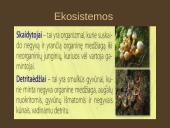 Organizmų mityba. Energija 3 puslapis