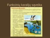 Organizmų mityba. Energija 4 puslapis