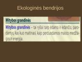 Organizmų mityba. Energija 5 puslapis