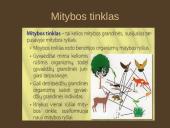 Organizmų mityba. Energija 8 puslapis