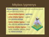 Organizmų mityba. Energija 10 puslapis