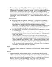 Jonas Radvanas ,,Radviliada" analizė 2 puslapis